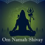 Om Namah Shivay - Nidhi Prasad Song Download